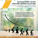 Orgabay Liposomal Nicotinamide Riboside 2000 MG with TMG and Pterostilbene, Boosting NAD+, Support Healthy Aging, 240 Count 4