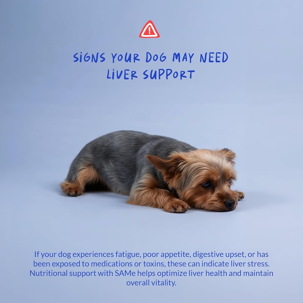 Same for Dogs - 120 Chewable Tablets - S-Adenosyl-L-Methionine, Liver Supplement - Brain Health, Promotes Cognitive Support, Liver Support (Same Tablet) 5