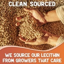 XPRS Nutra Soy Lecithin Granules Non GMO - Lecitina de SOYA - 100% Pure Soy Lethicin Granules - Premium SOYA Lethicin Granules - Food Grade Fat Emulsifier Suitable for Baking (16 Ounce) 4
