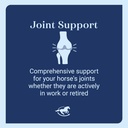 Tendon EQ™ Pellets | Horse Tendon Support | Horse Ligament Supplement for Healthy Connective Tissue | Antioxidant-Rich for Horses' Ligament Strength | 3.9 lb Bag 5