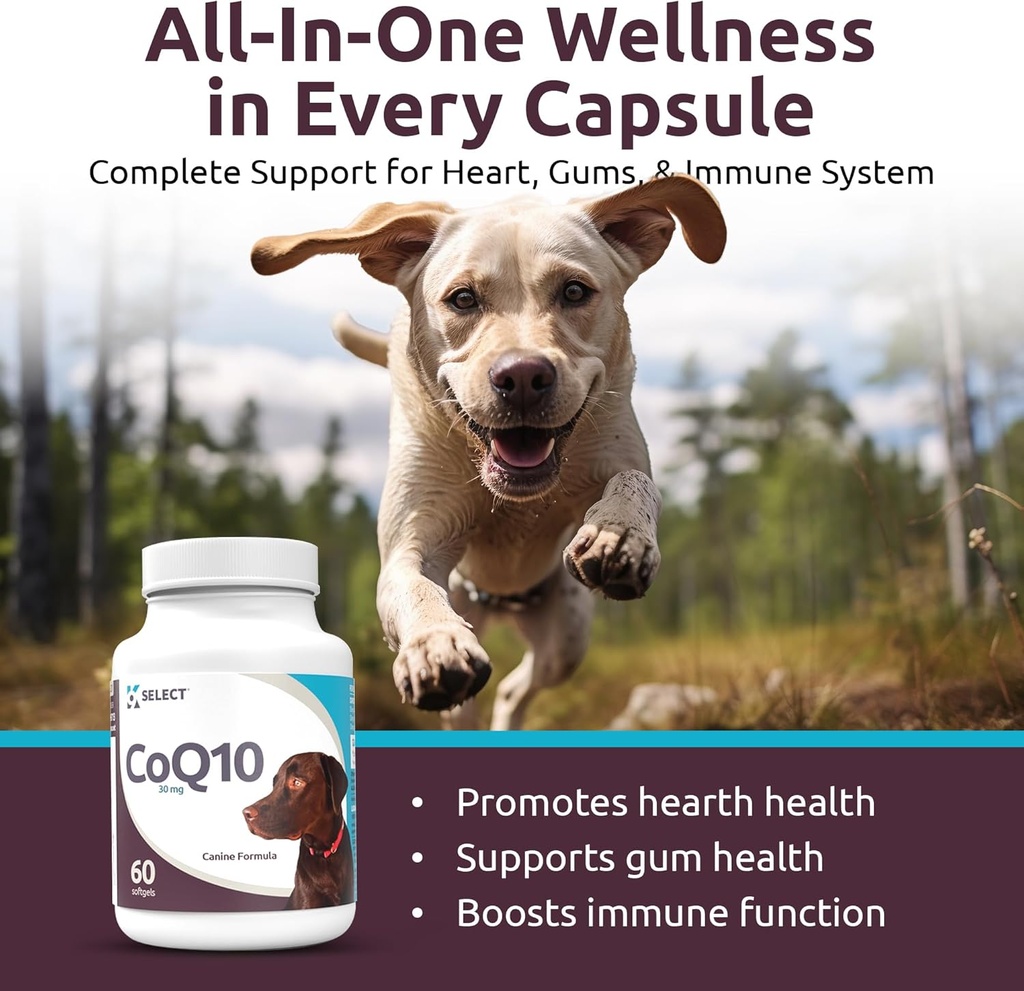 K9 Select CoQ10 Supplement for Dogs, 30mg - 60 Soft Gels per Bottle - Pet Supplement, Nutritional Softgels for Canine Heart Health, Cardiovascular & Gum Health, Energy 4