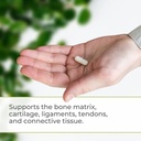 Youngevity Ultimate Gluco-Gel -for Joints, Tendons, Bones & Cartilage | Contains Glucosamine, Gelatin & Manganese | 120 Capsules | 4 Bottles 5