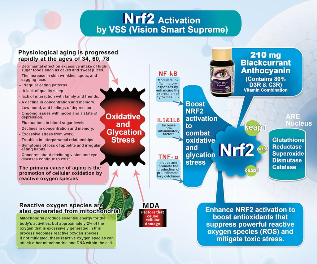 Vision Smart Supreme - Superior Eye Supplement, Premium Nutraceutical Ingredients with 210mg of Pure Anthocyanins of D3R and C3R, Veggie Capsules. Product of USA (12 Bottles) 5