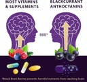Vision Smart Supreme - Superior Eye Supplement, Premium Nutraceutical Ingredients with 210mg of Pure Anthocyanins of D3R and C3R, Veggie Capsules. Product of USA (12 Bottles) 6