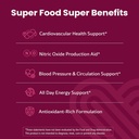 WellPath Beet Root Gummies (Sugar Free) 1500 mg – Blueberry Flavor for Blood Pressure Support and Rest Valerian Root Sleep Aid for Adults with Melatonin & L-Theanine - Natural Sleep Support, 60 Ct 3