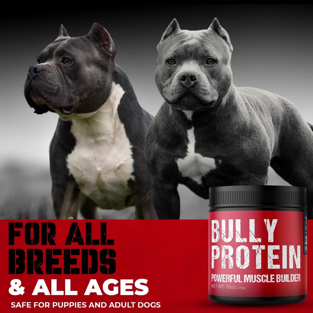 Convenient Real Meat Protein Powder for Dogs | 283mg Pure Protein Powder for All Dog Breeds | Nourishing Daily Protein Dogs. Fast Results. No Raw Meat Needed. 30 Day Supply (60 Servings) Dog Protein 3