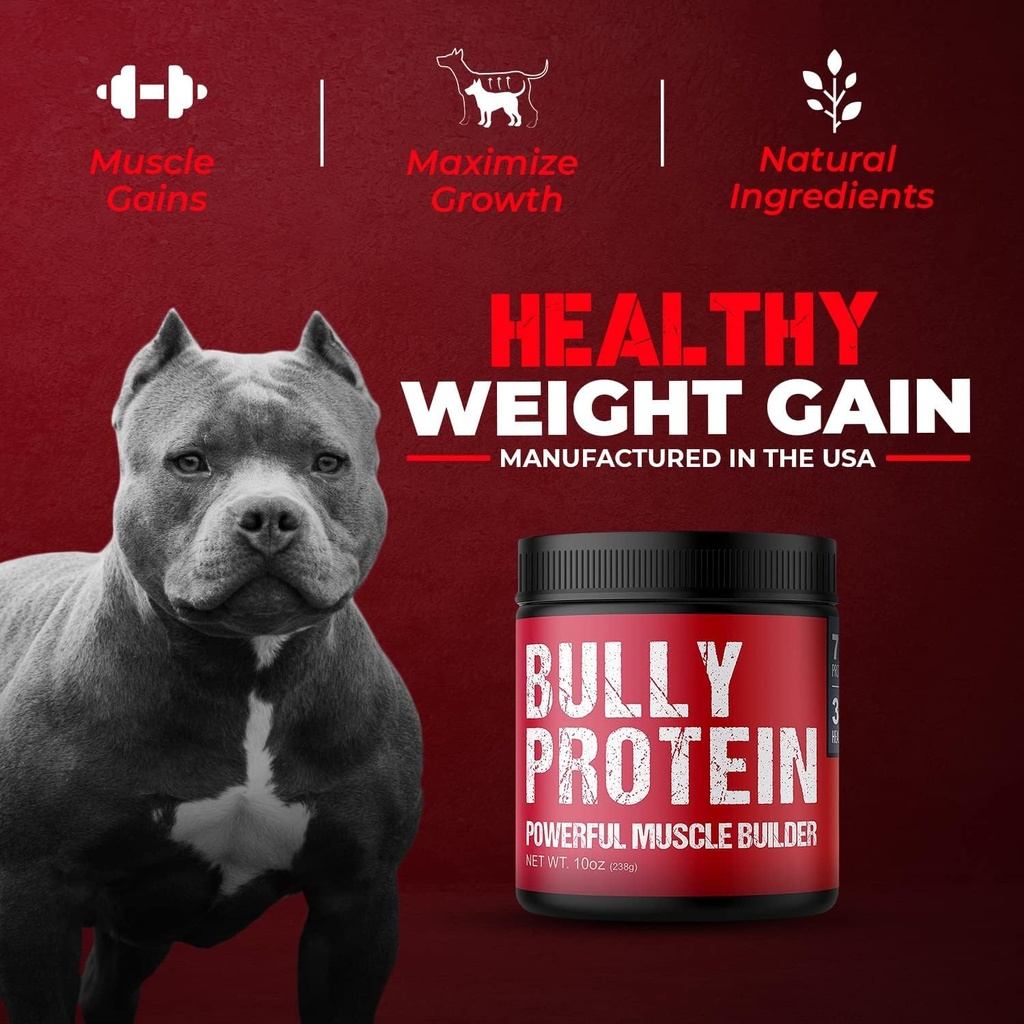 Convenient Real Meat Protein Powder for Dogs | 283mg Pure Protein Powder for All Dog Breeds | Nourishing Daily Protein Dogs. Fast Results. No Raw Meat Needed. 30 Day Supply (60 Servings) Dog Protein 6
