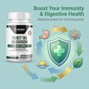 Probase Nutrition Premium Turkey Tail Mushroom Capsules Turkey Tail Supplement with Real Mushroom Extract Coriolus Versicolor 4 Month Supply 120 Capsules 5