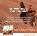 Host Defense Breathe* Capsules - Immune & Respiratory Support Mushroom Supplement - Herbal Lung Health Supplement with Chaga, Reishi & Cordyceps - 120 Capsules (60 Servings)* 6