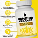 CandiFresh Candida Cleanse - Gut & Colon Support, Natural Herbal Formula, Include Oregano Leaf, Wormwood, Black Walnut, Caprylic Acid-1, 60 Capsules (2) 5