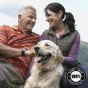 Swanson Premium Brand Royal Jelly - Maximum Strength 333.33 mg 100 Sgels 2 Pack 6