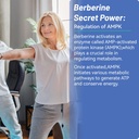 2 Pack Berberine Gummies -1200mg Berberine Supplement with Ceylon Cinnamon for Metabolism and Energy Support, Vegan Gelatin-Free-120 Count 5