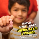 Flintstones Vitamins Chewable Kids Vitamins, Complete Multivitamin & L’il Critters Fiber Daily Gummy Supplement for Kids, for Digestive Support, Berry and Lemon Flavors, 90 Gummies 5