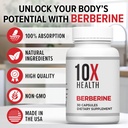 10X Health Berberine Supplement 500mg - Contains Dihydroberberine Supplement for Better Absorption - Supports Cardiovascular & Gut Health Supplements for Women & Men - 30 Capsules 6