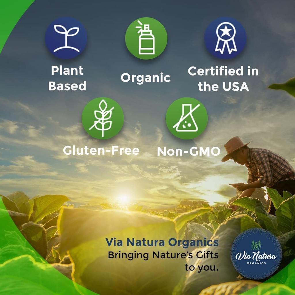 Echinacea Supplement | Natural & Organic | 60 Capsules 5