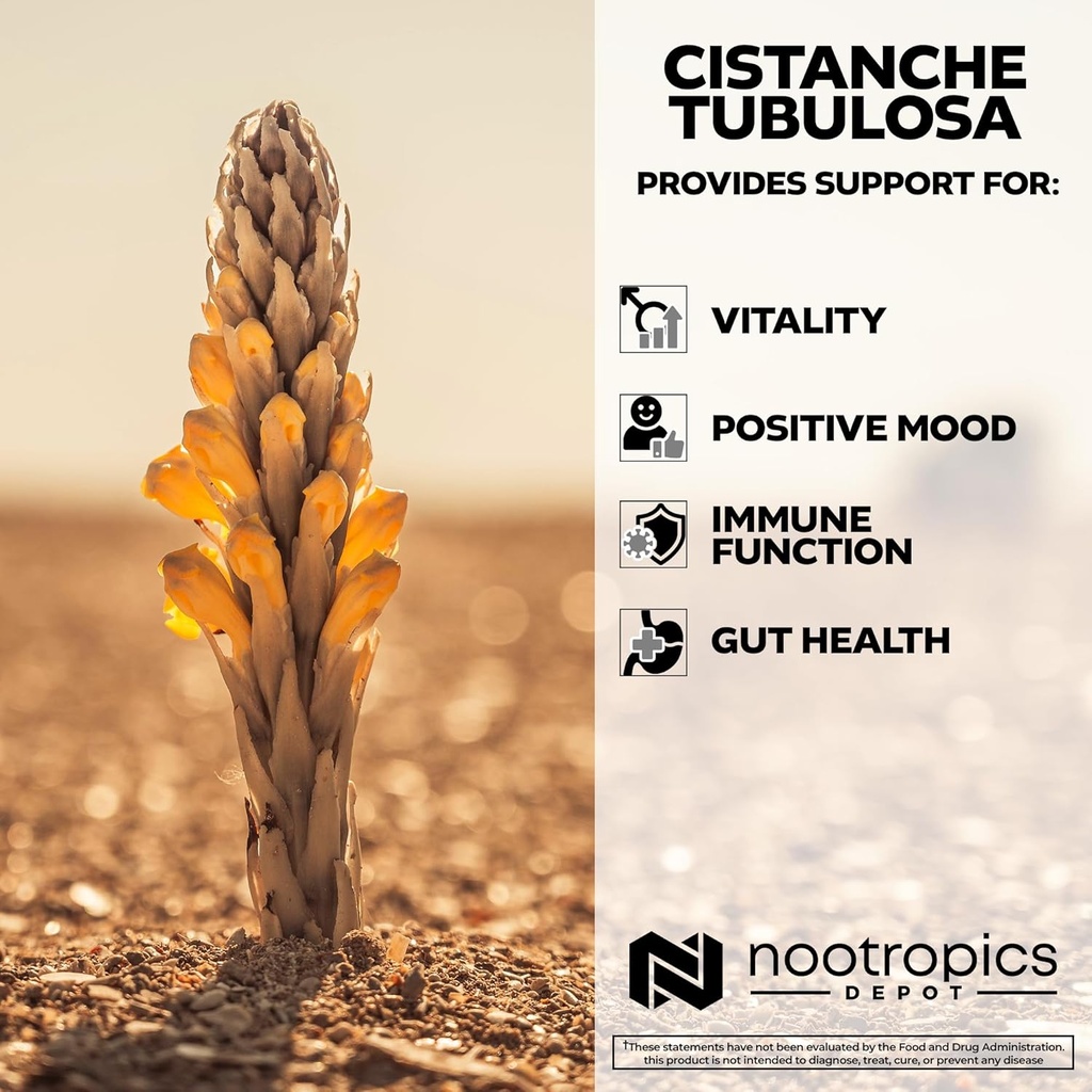 Nootropics Depot Cistanche tubulosa Tablets | 200mg | 60 Count | Minimum 50% Echinacoside + 10% Acetoside (Verbascoside) | Promotes Physical Strength and Energy | Promotes Vitality 5