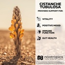 Nootropics Depot Cistanche tubulosa Tablets | 200mg | 60 Count | Minimum 50% Echinacoside + 10% Acetoside (Verbascoside) | Promotes Physical Strength and Energy | Promotes Vitality 5