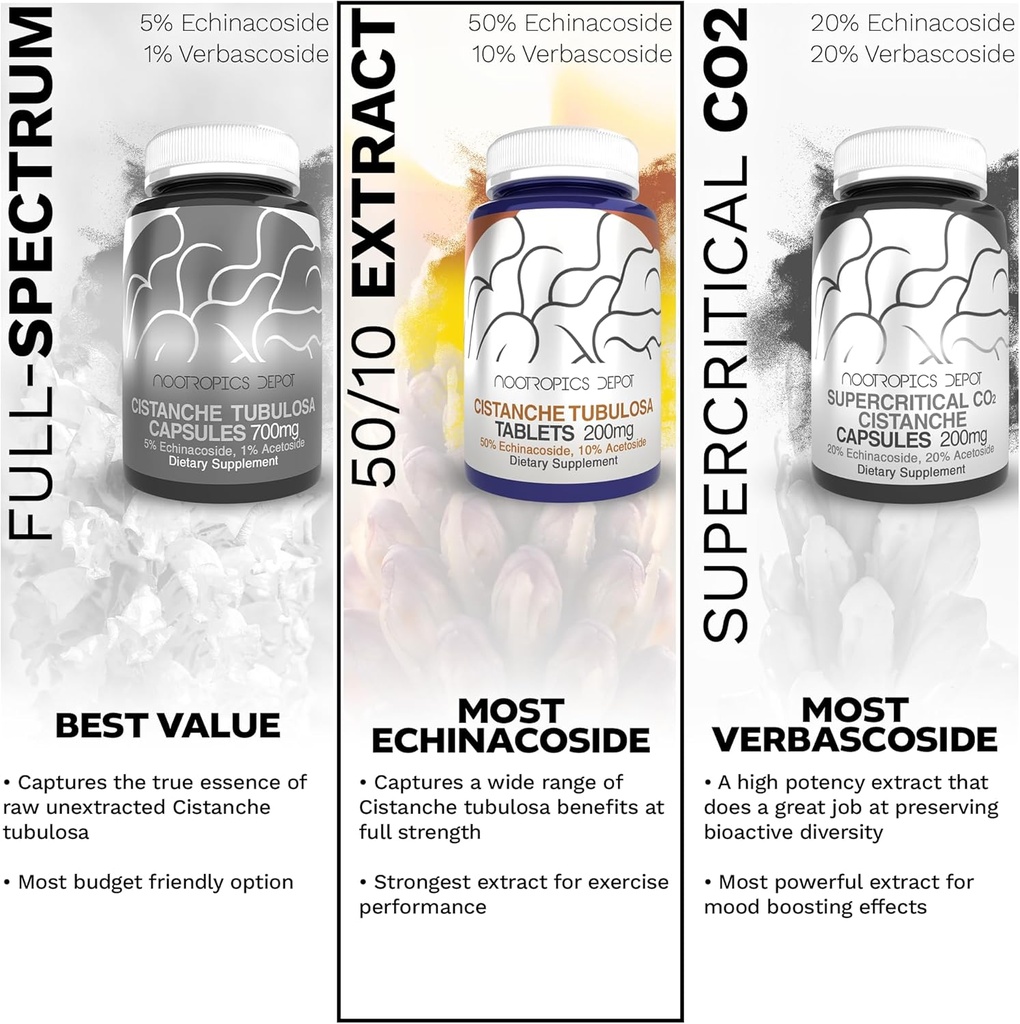 Nootropics Depot Cistanche tubulosa Tablets | 200mg | 60 Count | Minimum 50% Echinacoside + 10% Acetoside (Verbascoside) | Promotes Physical Strength and Energy | Promotes Vitality 6