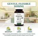 PRISTINE'S Berberine Supplement Capsules - 1000 MG 75 Day Supply 150 Capsules - Heart, & Immunity Health Support Antioxidant - Digestive Tract & Healthy Gut Flora Support 4