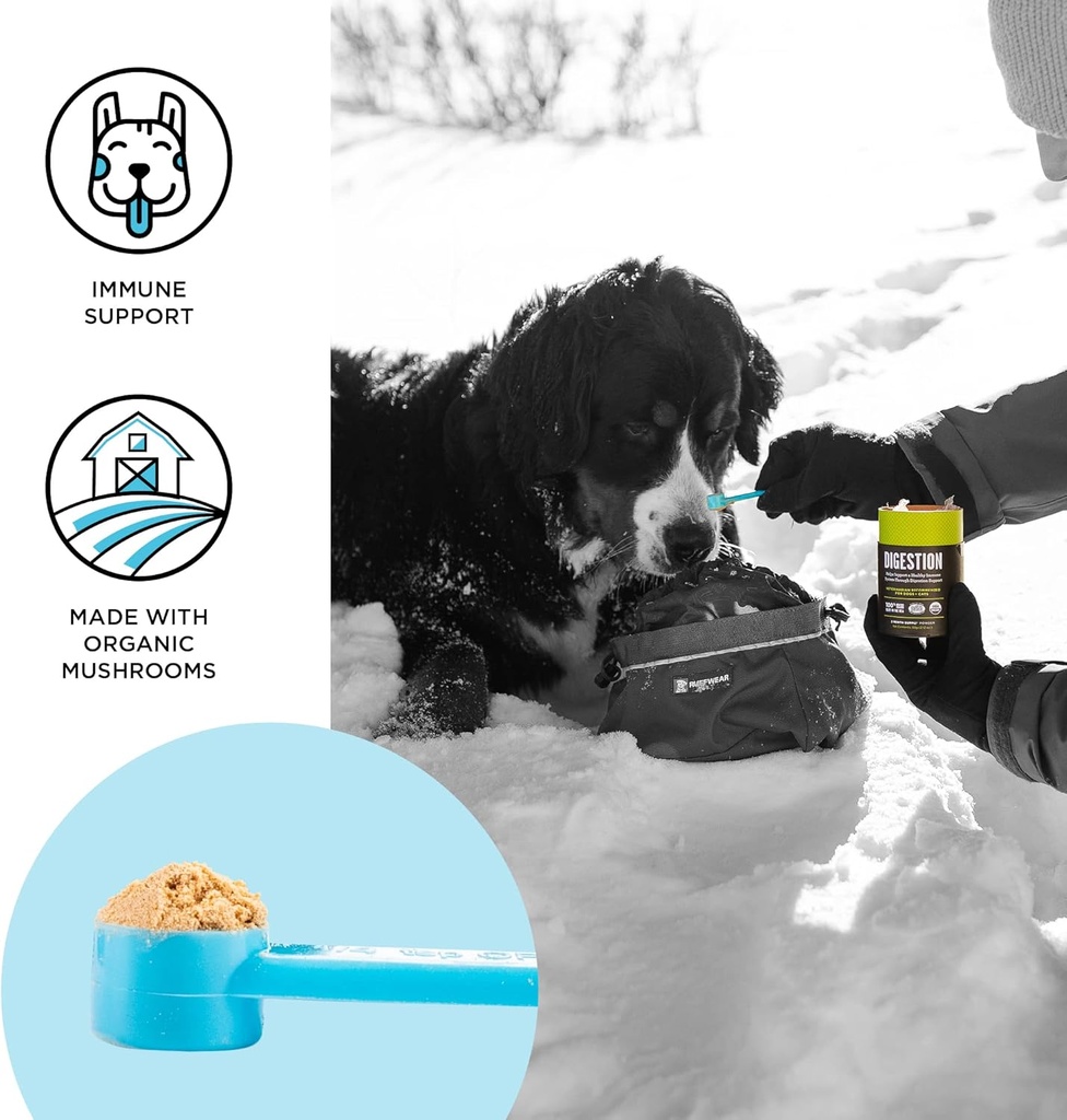 BIXBI dog vitamins supplements Immune Support Daily Cat Supplement, Powder Supplement, 2 Month Supply US 4