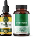 HERBAMAMA Mullein Leaf Extract and Goldenseal Capsules Kit - Bundle of Mullein Leaf Tincture 2 fl oz and 700 mg Goldenseal Root Capsules - Vegan, Non-GMO, Sugar & Alcohol-Free - 2 Pack 2