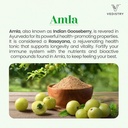 Amla+ Fruit Extract Supplement | 1100mg Indian Gooseberry Tablets with Long Pepper | Natural Vitamin C & Antioxidants for Immune Support, Vitality & Wellness | 60 Vegan Tablets 3