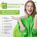 Hydra Powders NAD+ Nutrients Electrolyte Powder Packets, Anti Aging Daily Hydration Packets, Low Sodium Electrolytes Powder, Electrolyte Drink Mix Low Sugar - 16 Electrolyte Packets Lemon Lime 4