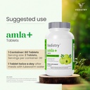 Amla+ Fruit Extract Supplement | 1100mg Indian Gooseberry Tablets with Long Pepper | Natural Vitamin C & Antioxidants for Immune Support, Vitality & Wellness | 60 Vegan Tablets 6