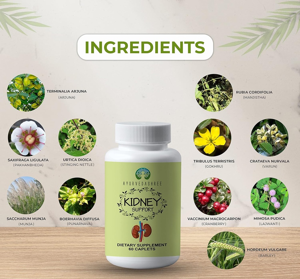 Kidney Support Herbal Supplement - Supports Healthy Kidney Function, Vegan, Gluten-Free, GMP Certified - Each Caplet of 1000 MG 5