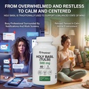 PRISTINE'S Holy Basil Capsules - 500 mg Gluten Free Immunity & Relaxation Support Adaptogen Supplement - 60 Day Supply - Tulsi Holy Basil Leaf Extract Capsules - Vegan - Non-GMO 5