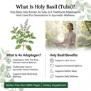 PRISTINE'S Holy Basil Capsules - 500 mg Gluten Free Immunity & Relaxation Support Adaptogen Supplement - 60 Day Supply - Tulsi Holy Basil Leaf Extract Capsules - Vegan - Non-GMO 6