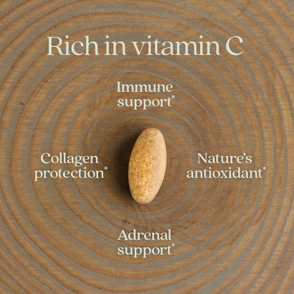 New Chapter Fermented Vitamin C + Elderberry, ONE Daily for Immune Support & Collagen Protection, Made with Organic Herbs, Certified Vegan, Gluten Free, 60 Count 5