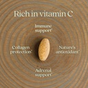 New Chapter Fermented Vitamin C + Elderberry, ONE Daily for Immune Support & Collagen Protection, Made with Organic Herbs, Certified Vegan, Gluten Free, 60 Count 5