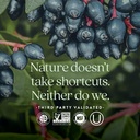 New Chapter Fermented Vitamin C + Elderberry, ONE Daily for Immune Support & Collagen Protection, Made with Organic Herbs, Certified Vegan, Gluten Free, 60 Count 6