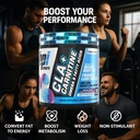 BPI Sports CLA+Carnitine – CLA L Carnitine & Linoleic Acid – L Carnitine Supplement for Weight Loss, Metabolism & Lean Muscle – Caffeine Free – Snow Cone – 50 Servings – 12.34 oz 4