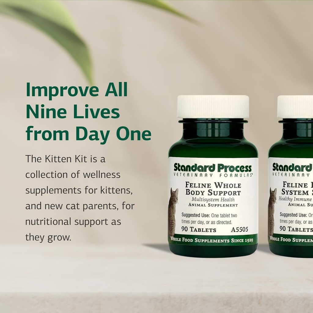 Standard Process Kitten Kit - Overall Health Kit for Feline Whole-Body Support - Feline Immune System Support Supplements - Wellness Supplements to Support Kitten Health & Growth - Includes Catnip Toy 4