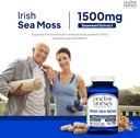 Irish Sea Moss Advanced Supplement Capsules 1500mg, Ultra Potent Seamoss Advanced with Bladderwrack & Burdock Root, Made in FDA-Registered, NSF-Certified Facility, Overall Health Support, 90 Capsules 3