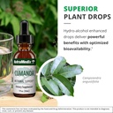 NutraMedix Cumanda Liquid Immune Support Supplement - Herbal Tincture to Promote Microbial, Digestive & Gut Health for Women & Men - Made with Huacapurana Tree Bark Extract (1oz / 30ml) 6