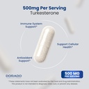 Turkesterone Supplement 500mg (120 Capsules) - Stamina, Drive, Athletic Performance & Muscle Mass - (Ajuga Turkestanica Std. to 10% Turkesterone) (Similar to Ecdysterone) - Non-GMO & Vegan Capsules 5