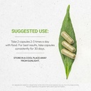 Secrets of the Tribe Quinine Capsules 1000 mg Wildcrafted Quinine (Cinchona officinalis) Dried Bark, Leg Cramp Support Supplement (120 Capsules) 3