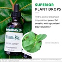 Nutramedix Nutra BRL - Liquid Herbal Supplement for Gut Health & Immune Support - Samento & Banderol for Digestive Health - Immune System Booster Supplement (60mL) 6