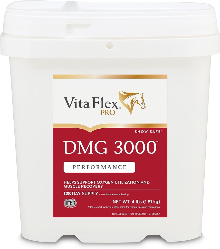 Vita Flex Pro DMG 3000 Horse DMG Concentrate, 4 Pounds, 128-Day Supply 2