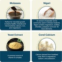 TeraGanix EM-X Gold Prebiotic, Anti Aging Drink, Dr. Formulated, Gut Flora Health Drink (50 Day Supply), Liquid Antioxidants Supplement, Balance pH (500mL) 6