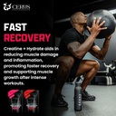 Cerus Performance - Performance Hydration Electrolyte Powder – Raspberry Flavor, 5g Creatine Monohydrate, 500mg Coconut Water Powder – Supports Endurance, Muscle Recovery & Keto 30 Servings 4