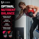 Cerus Performance - Performance Hydration Electrolyte Powder – Raspberry Flavor, 5g Creatine Monohydrate, 500mg Coconut Water Powder – Supports Endurance, Muscle Recovery & Keto 30 Servings 5