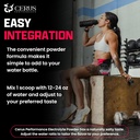 Cerus Performance - Performance Hydration Electrolyte Powder – Raspberry Flavor, 5g Creatine Monohydrate, 500mg Coconut Water Powder – Supports Endurance, Muscle Recovery & Keto 30 Servings 6