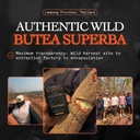 Based Supplements Butea Superba Extract - Traditional Thai Herb for Men's Vitality, Focus & Energy - Premium Root Powder with Natural Flavonoids 3