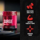 Jacked Factory Nitrosurge Shred Thermogenic Pre-Workout in Watermelon & N.O. XT Nitric Oxide Booster for Men & Women 5
