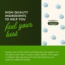 Swanson Copper Antioxidant Immune System Red Blood Cell Support Mineral Supplement (Copper chelate) 2 mg 300 Tabs (2 Pack) 6