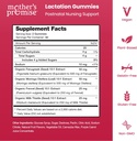 Mother's Promise Lactation Supplement Gummies for Breast Milk Production Increase | Postnatal Lactation Support for Breastfeeding, Nursing & Lactating with Fenugreek, Moringa & Milk Thistle | Vegan 3